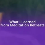 What I Learned from Meditation Retreats
