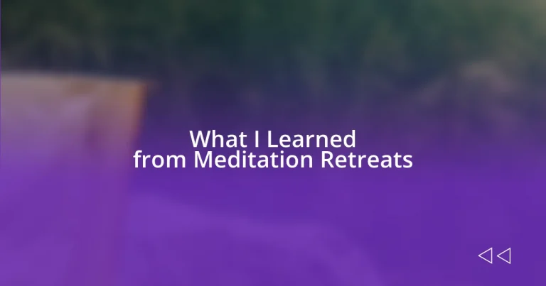 What I Learned from Meditation Retreats