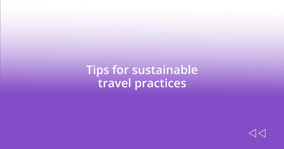 Tips for sustainable travel practices