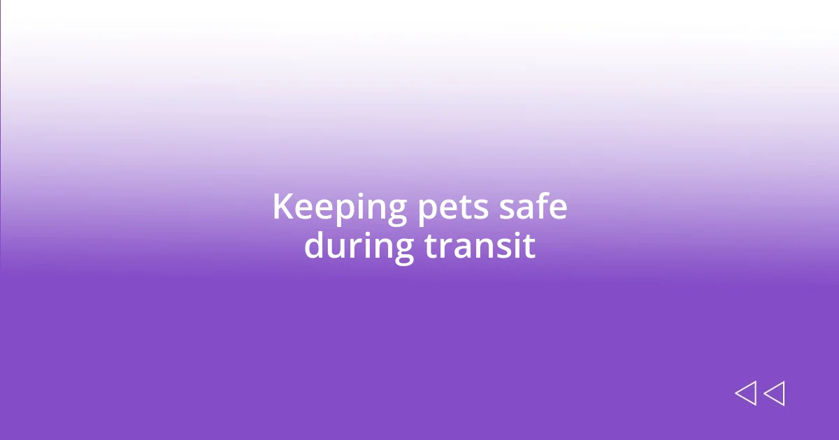 Keeping pets safe during transit
